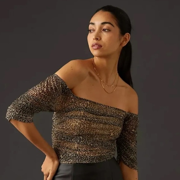 Anthropologie Tops - Anthropologie Mesh Cheetah Print Top, L, NWT